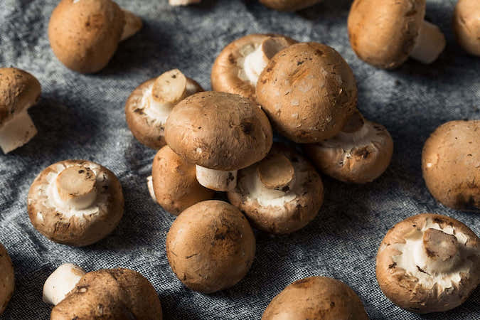 mushroom-types-pictures-3mgahg96c1f4eq0h-418835925.jpg